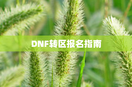 DNF转区报名指南图片