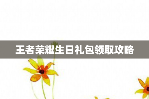 王者荣耀生日礼包领取攻略图片