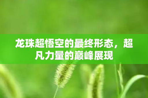 龙珠超悟空的最终形态图片