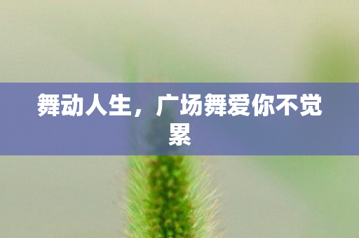 广场舞爱你不觉累图片