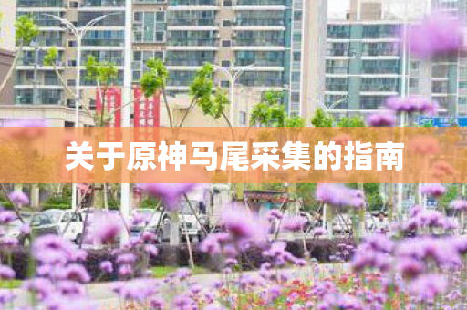 关于原神马尾采集的指南图片