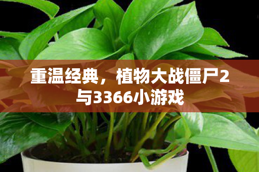 植物大战僵尸2与3366小游戏图片