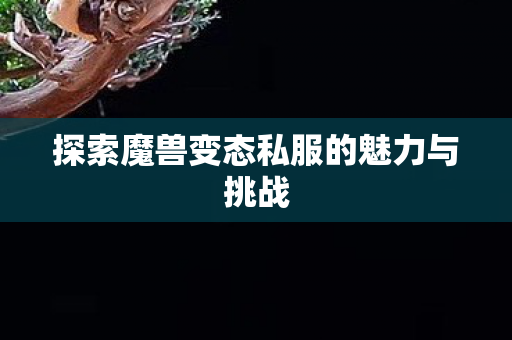探索魔兽变态私服的魅力与挑战图片