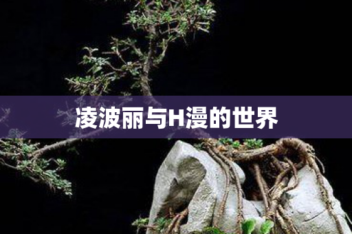 凌波丽与H漫的世界图片
