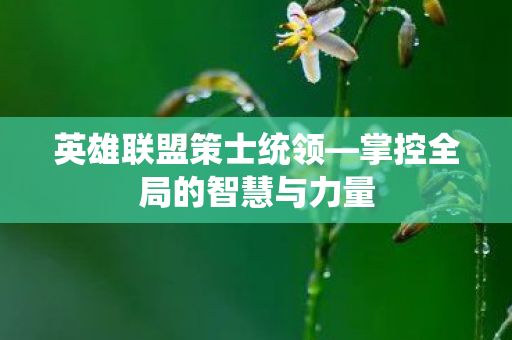 掌控全局的智慧与力量图片