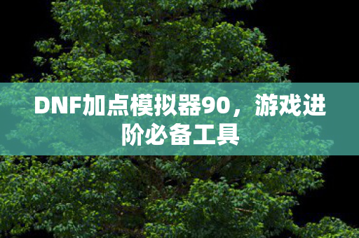 DNF加点模拟器90图片