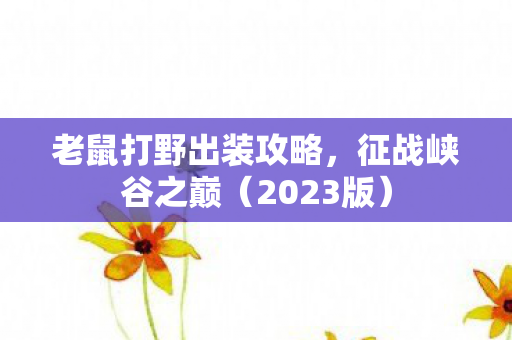 老鼠打野出装攻略图片