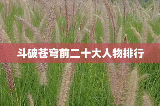 斗破苍穹前二十大人物排行图片