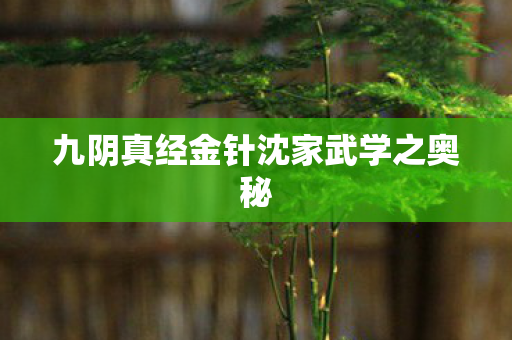 九阴真经金针沈家武学之奥秘图片