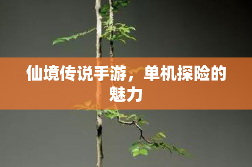 单机探险的魅力图片