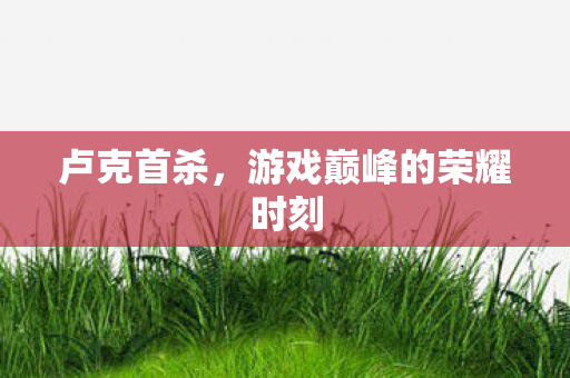 游戏巅峰的荣耀时刻图片