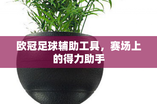 欧冠足球辅助工具图片