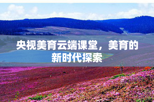 央视美育云端课堂图片