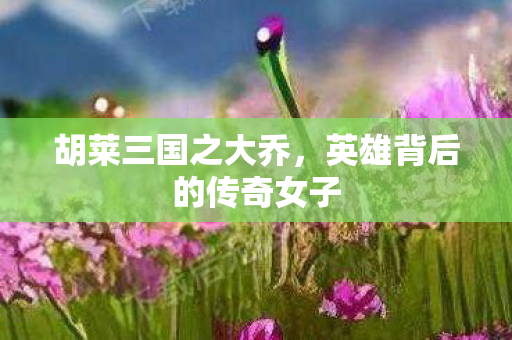 英雄背后的传奇女子图片