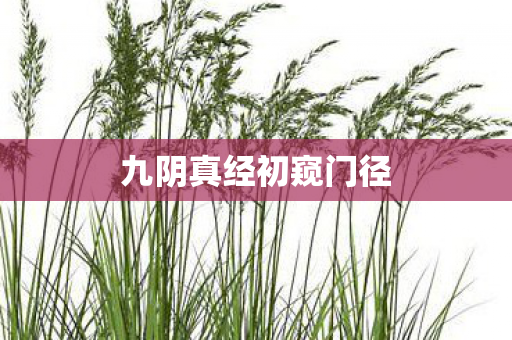 九阴真经初窥门径图片