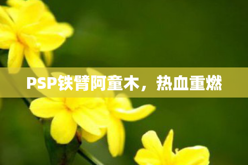 PSP铁臂阿童木图片