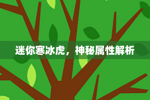 神秘属性解析图片