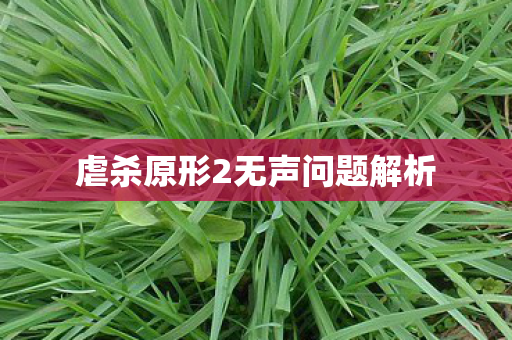 虐杀原形2无声问题解析图片