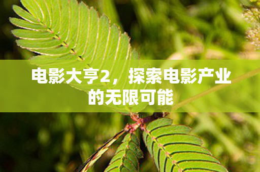 探索电影产业的无限可能图片