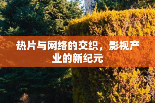 热片与网络的交织图片