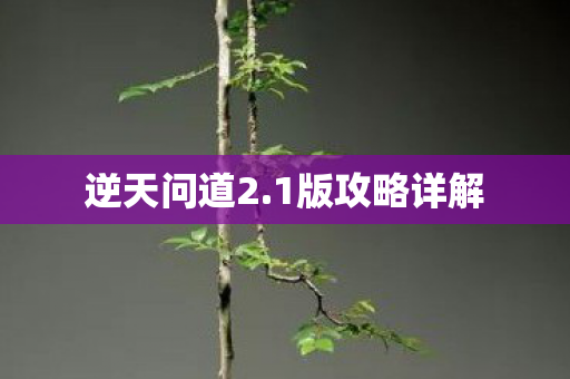 1版攻略详解图片