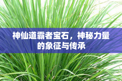 神秘力量的象征与传承图片