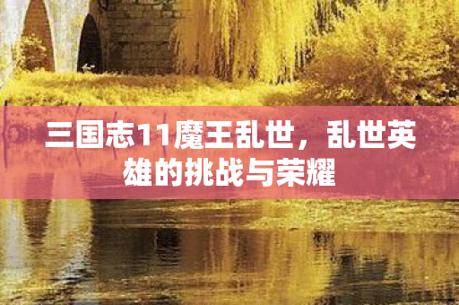 乱世英雄的挑战与荣耀图片