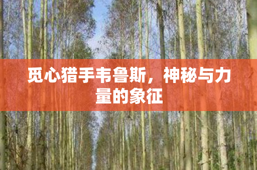 神秘与力量的象征图片