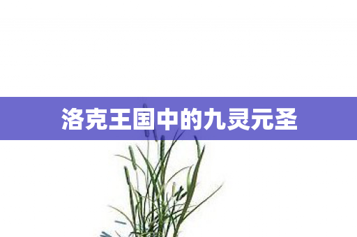 洛克王国中的九灵元圣图片