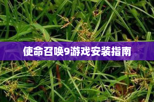 使命召唤9游戏安装指南图片