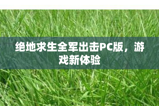 绝地求生全军出击PC版图片