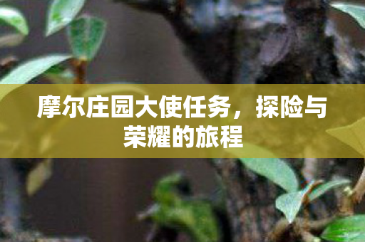 摩尔庄园大使任务图片