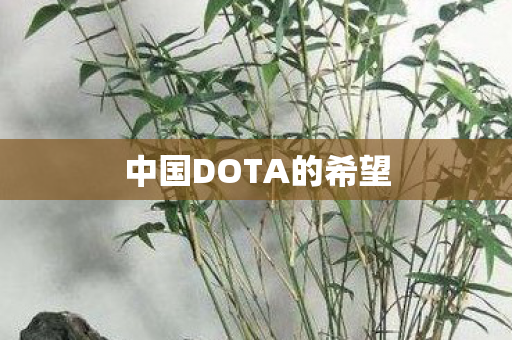 中国DOTA的希望图片