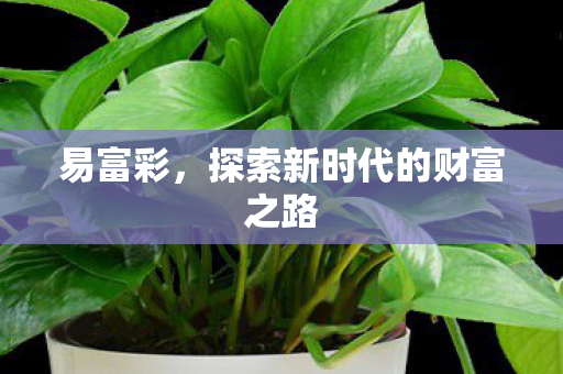 探索新时代的财富之路图片