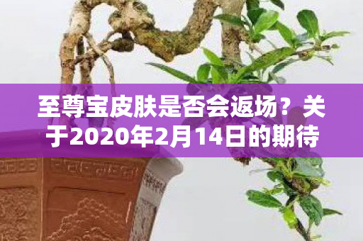 关于2020年2月14日的期待图片