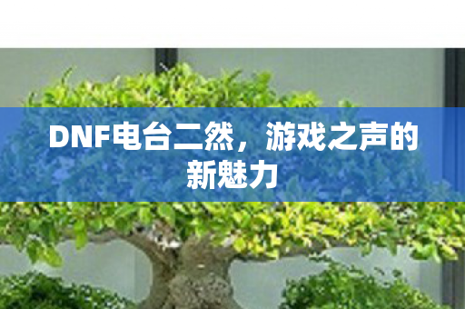 游戏之声的新魅力图片