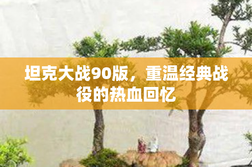 重温经典战役的热血回忆图片