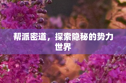 探索隐秘的势力世界图片