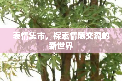 探索情感交流的新世界图片