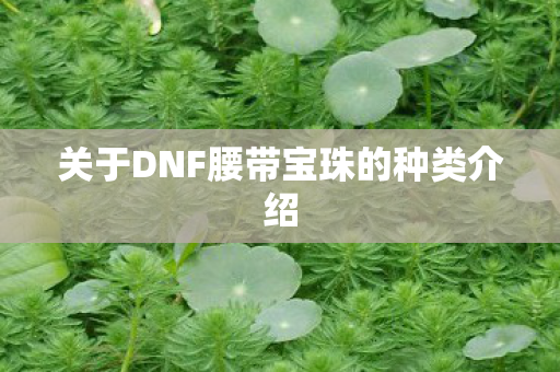 关于DNF腰带宝珠的种类介绍图片