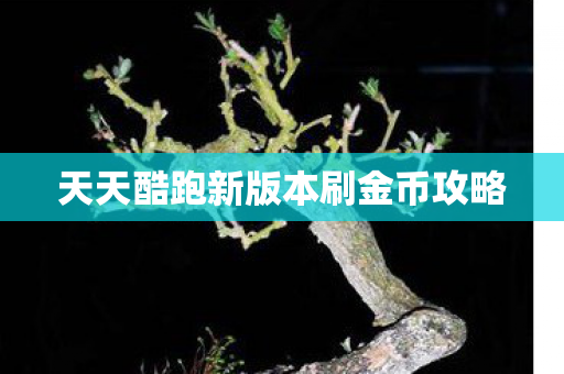 天天酷跑新版本刷金币攻略图片