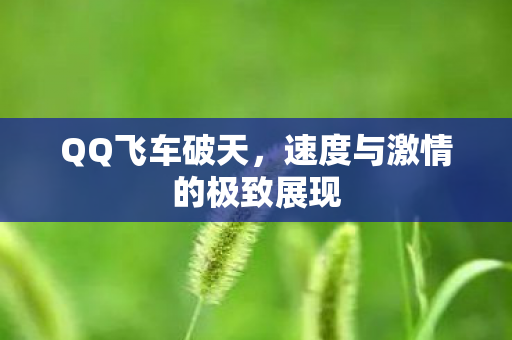 速度与激情的极致展现图片
