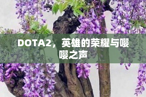 英雄的荣耀与嘤嘤之声图片