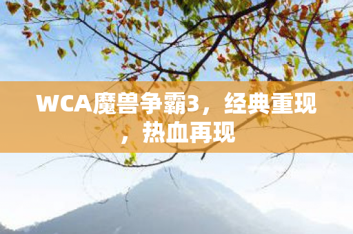 WCA魔兽争霸3图片