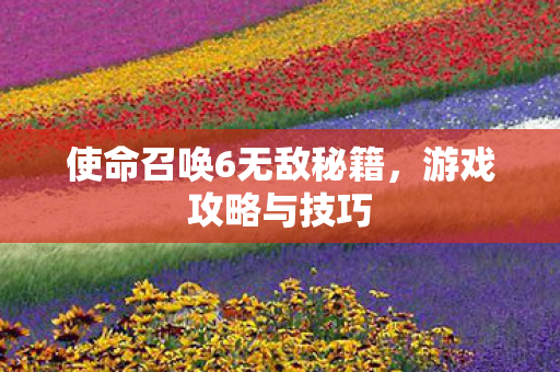 使命召唤6无敌秘籍图片