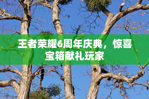 王者荣耀6周年庆典图片