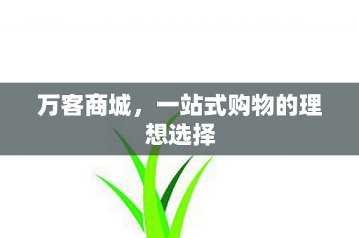 一站式购物的理想选择图片