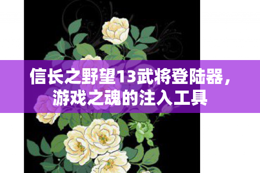信长之野望13武将登陆器图片
