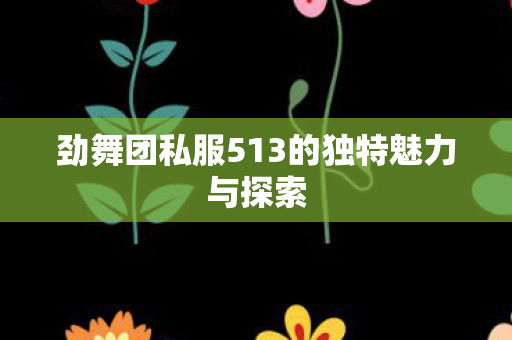 劲舞团私服513的独特魅力与探索图片