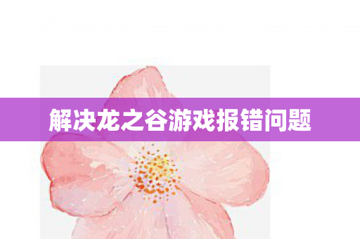 解决龙之谷游戏报错问题图片